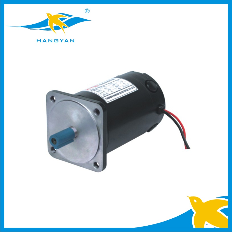 100ZYT series D.C motor Vertical